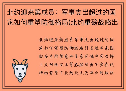 北约迎来第成员：军事支出超过的国家如何重塑防御格局(北约重磅战略出炉)