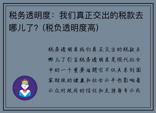 税务透明度：我们真正交出的税款去哪儿了？(税负透明度高)