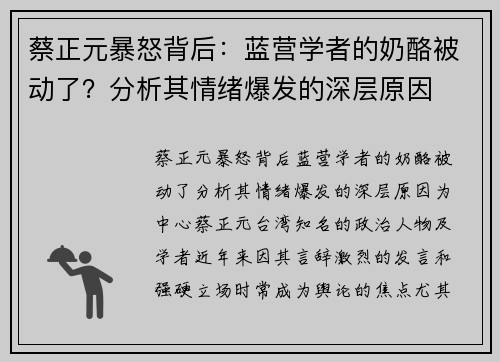 蔡正元暴怒背后：蓝营学者的奶酪被动了？分析其情绪爆发的深层原因